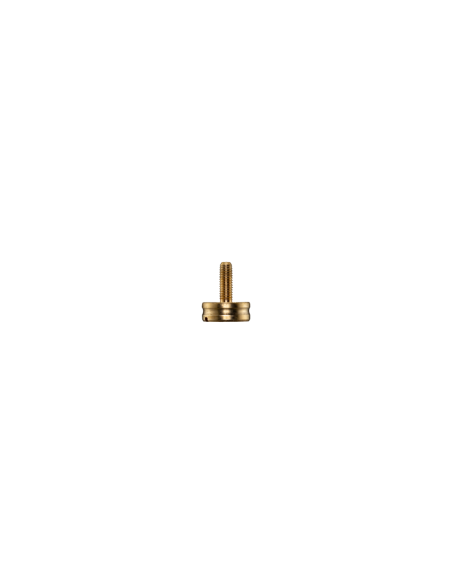 SmallHD Cine 13 Snap Screws Kit - SmallHD